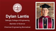 Dylan Lantis - Gallogly College of Engineering - Bachelor of Science - Chemical Engineering Biomedical