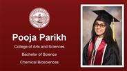 Pooja Parikh - College of Arts and Sciences - Bachelor of Science - Chemical Biosciences