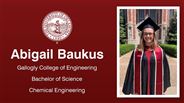 Abigail Baukus - Gallogly College of Engineering - Bachelor of Science - Chemical Engineering