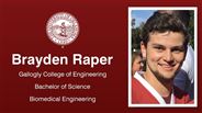 Brayden Raper - Gallogly College of Engineering - Bachelor of Science - Biomedical Engineering