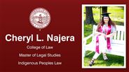 Cheryl L. Najera - College of Law - Master of Legal Studies - Indigenous Peoples Law