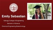 Emily Sebastian - Gallogly College of Engineering - Bachelor of Science - Chemical Engineering Biotechnology