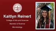 Kaitlyn Reinert - College of Arts and Sciences - Bachelor of Science - Microbiology
