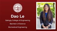 Dao Le - Gallogly College of Engineering - Bachelor of Science - Biomedical Engineering