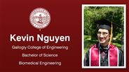 Kevin Nguyen - Gallogly College of Engineering - Bachelor of Science - Biomedical Engineering