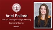 Ariel Pollard - Fran and Earl Ziegler College of Nursing - Bachelor of Science - Nursing