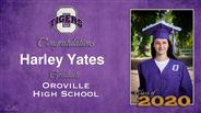 Harley Yates