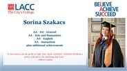Sorina Szakacs - AA - Art - General