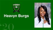 Heavyn Burgs