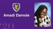Amadi Damole