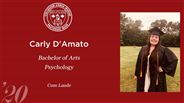 Carly D'amato