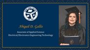 Abigail D. Gallis