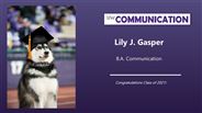 Lily Gasper - Lily J. Gasper